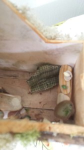 20150712_132258_resized