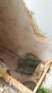 20150712_132330_resized