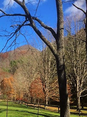 Fodder Stack from porch