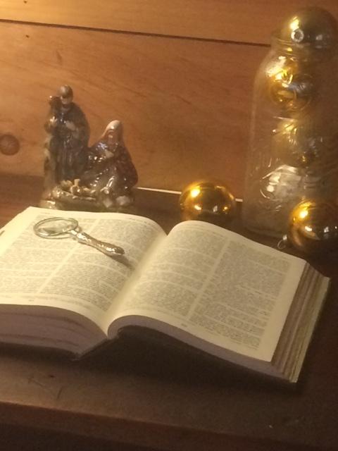 Laurel Beth Christmas Story