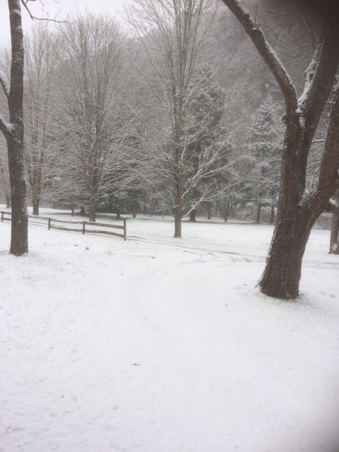 Laurel Beth while snowing